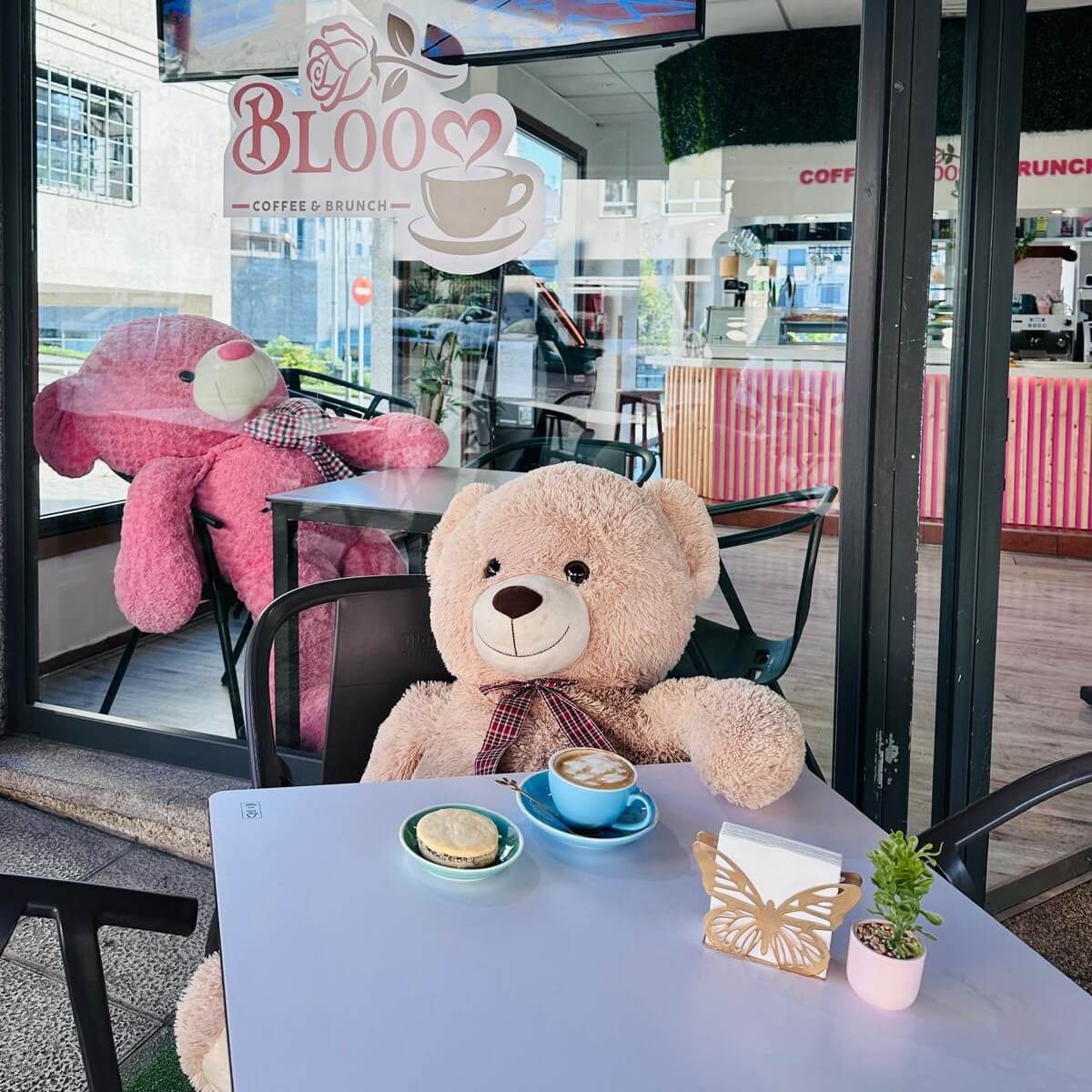 oso tomando cafe en la terraza bloom coffee